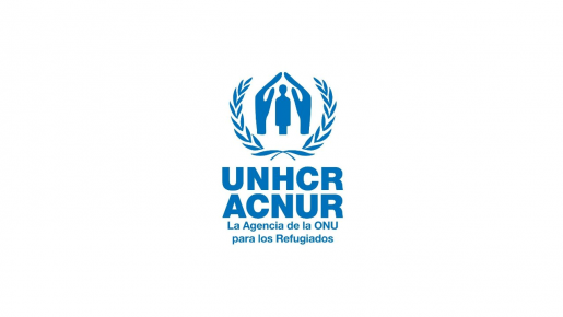 Alto Comisionado De Las Naciones Unidas Para Los Refugiados (ACNUR ...