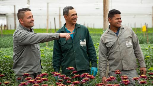 La documento se expone cuáles son los derechos laborales de la población venezolana en Colombia. 