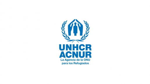 Alto Comisionado de las Naciones Unidas para los Refugiados (ACNUR)